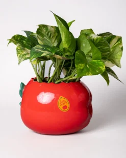 ban.do Apple Planter Outlet