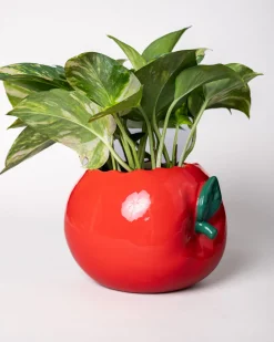 ban.do Apple Planter Outlet