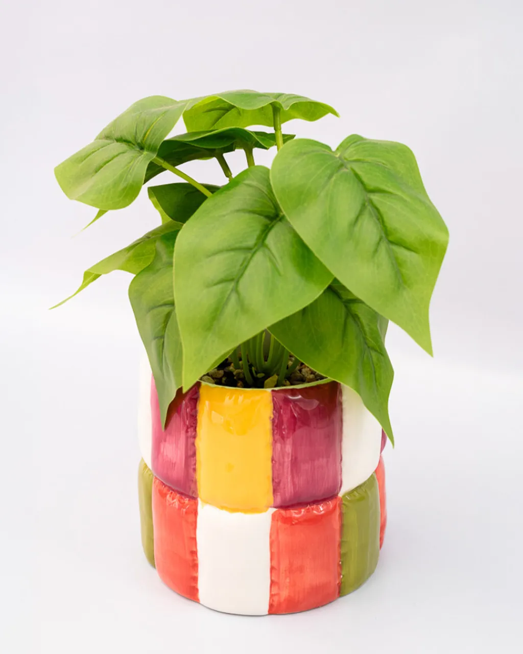 ban.do Colorblock Ceramic Planter New