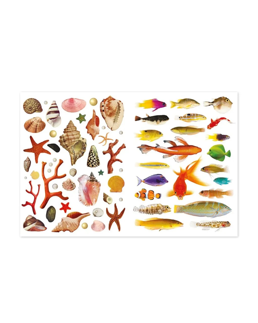 Paula Gonzalez Even More Extraordinary Things to Cut Out and Collage Book Clearance