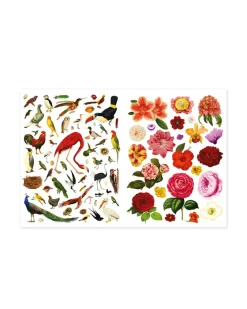 Paula Gonzalez Even More Extraordinary Things to Cut Out and Collage Book Clearance