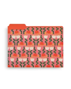 ban.do File Folder Set - Life's A Picnic