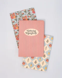 ban.do Hold That Thought Notebook Set - Growing Imperfectly Sale