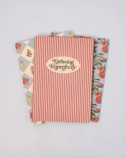 ban.do Hold That Thought Notebook Set - Growing Imperfectly Sale