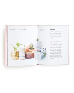 Morgan Doane How to Raise a Plant and Make It Love You Back Clearance