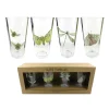 Transpac Insect Glass Tumblers - Set Of 4 Clearance