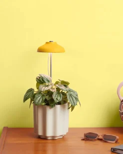 We The Wild Plant Care Instant Sun Extendable Grow Lamp Online