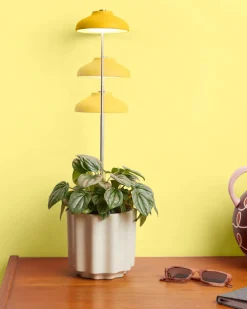 We The Wild Plant Care Instant Sun Extendable Grow Lamp Online