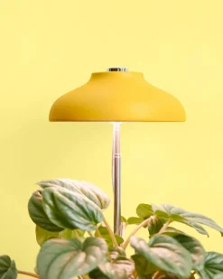 We The Wild Plant Care Instant Sun Extendable Grow Lamp Online
