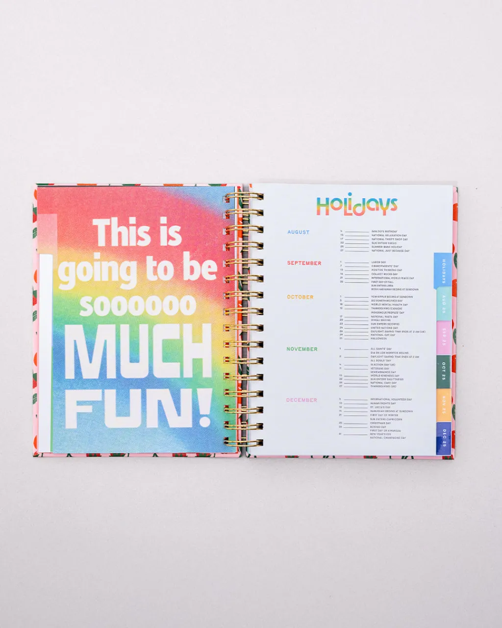 ban.do Medium 17-Month Academic Planner - Infinite Potential Online