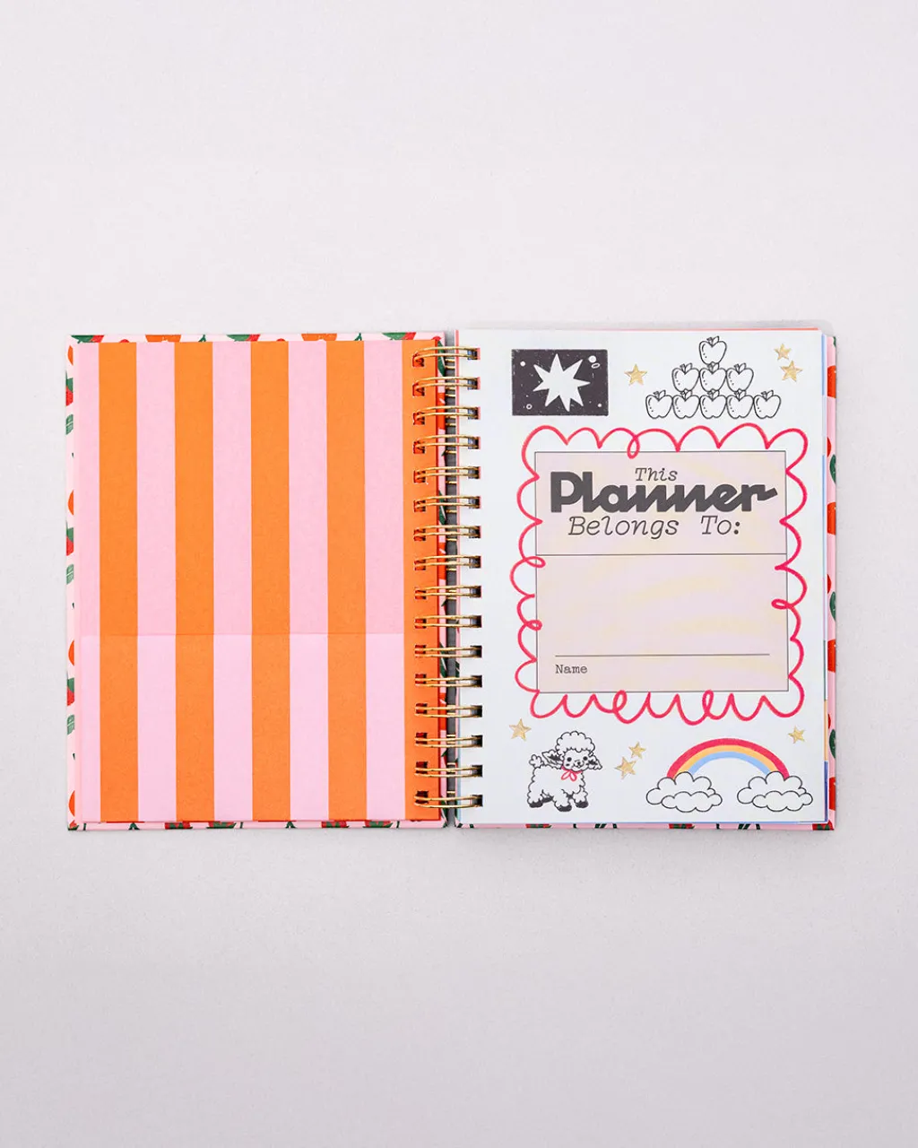 ban.do Medium 17-Month Academic Planner - Infinite Potential Online