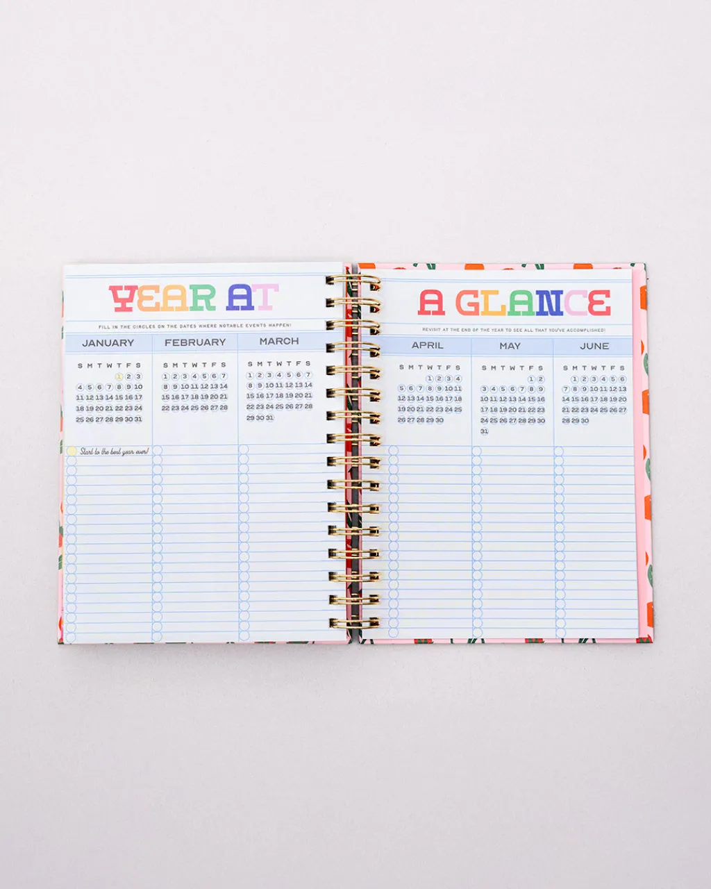 ban.do Medium 17-Month Academic Planner - Infinite Potential Online