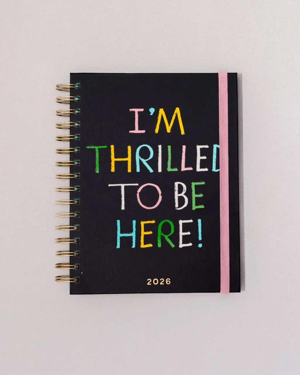 ban.do Medium 12-Month Annual Planner - Thrilled to Be Here Sale