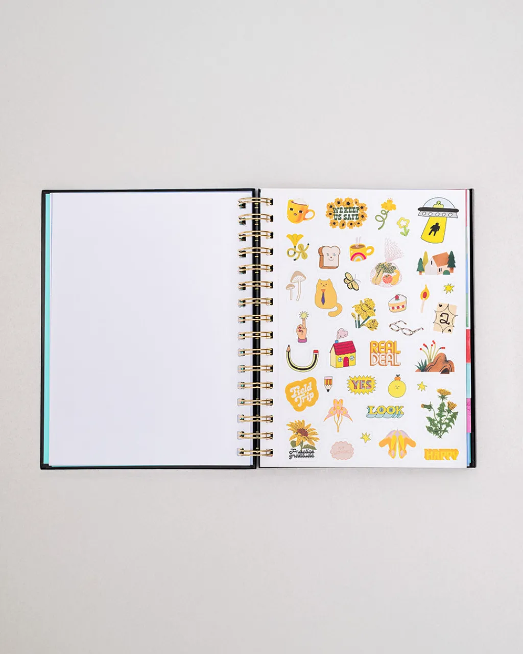 ban.do Medium 12-Month Annual Planner - Thrilled to Be Here Sale