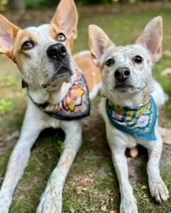 Handker Bandanas No. 039 - Bandana Elsie Sale
