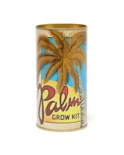 The Jonsteen Company Palm Tree - Seed Grow Kit - royal palm Best