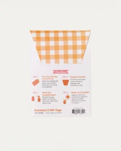 123 Farm Plantable Seed Gift Tags - Carrots Sale
