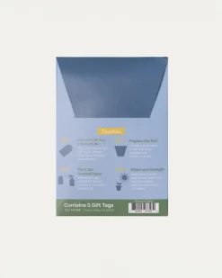 123 Farm Plantable Seed Gift Tags - Daisies Best