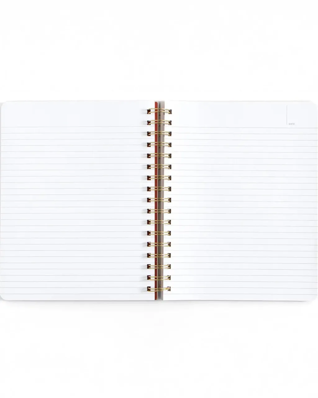 Studio Calico Spiral Notebook Professional Overthinker Online