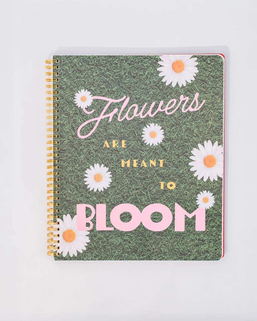 ban.do Rough Draft Large Notebook - Floral Stripe Hot
