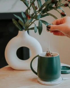 Tease Wellness Smart Heated Mug Kit 2.0 - Deep Mint Best