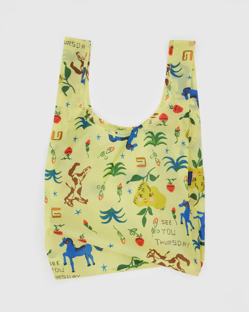 Baggu Standard - Painted Prairie Best