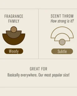 P.F. Candle Standard Candle - Teakwood & Tobacco Discount