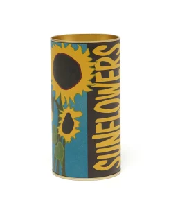 The Jonsteen Company - Seed Grow Kit sunflower Hot