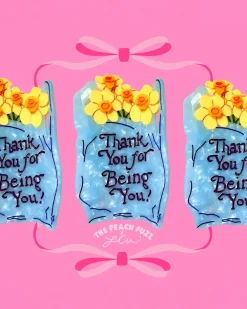The Peach Fuzz Thank You Bag Hair Claw New
