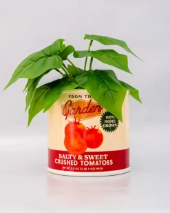 ban.do Tomato Can Ceramic Planter Sale