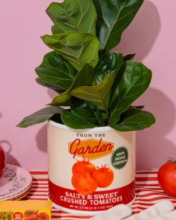 ban.do Tomato Can Ceramic Planter Sale