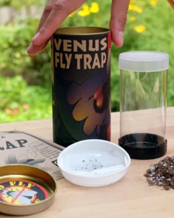 The Jonsteen Company Seed Grow Kit Venus Flytrap